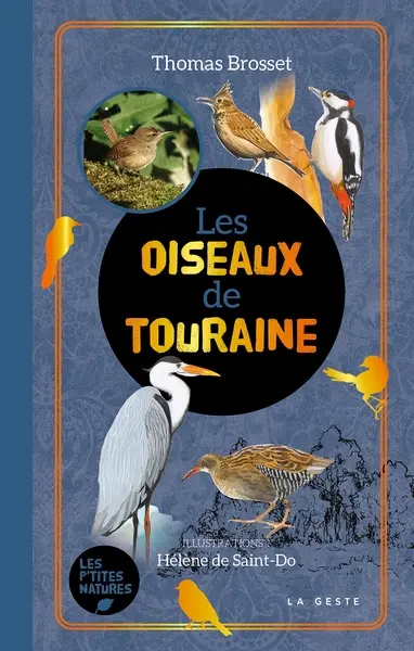Les oiseaux de Touraine