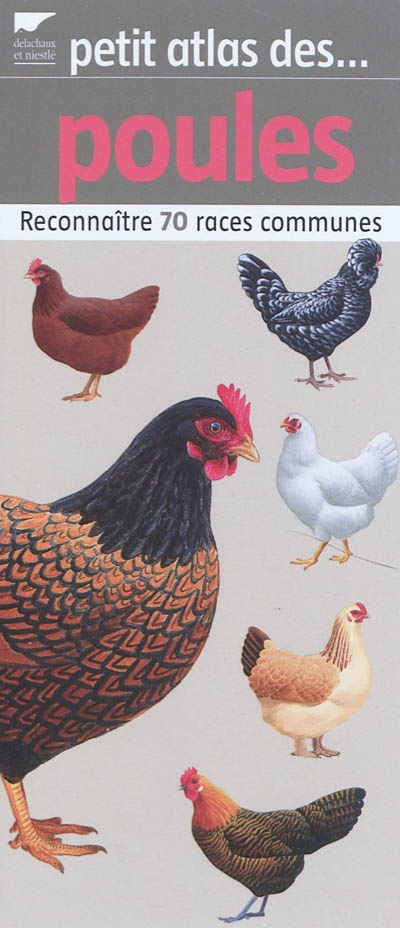 Petit atlas des poules : reconnaître 70 races communes