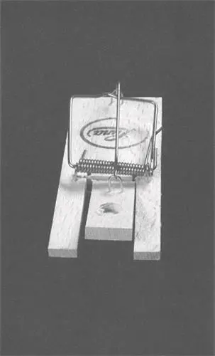 Anna Haifisch Residenz Fahrenbühl Volte #10