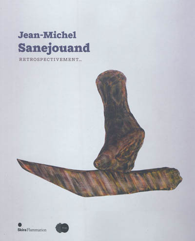 Jean-Michel Sanejouand : rétrospectivement...