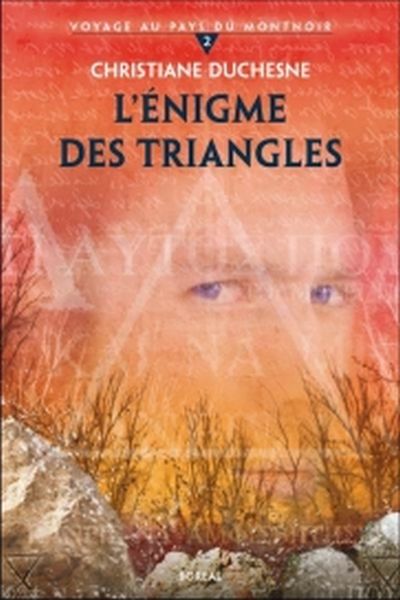 Voyage au pays du Montnoir. Vol. 2. L'énigme des triangles