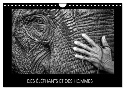 DES ELEPHANTS ET DES HOMMES (Calendrier mural 2025 DIN A4 vertical), CALVENDO calendrier mensuel : La relation entre les éléphants et les hommes en Asie du sud-est