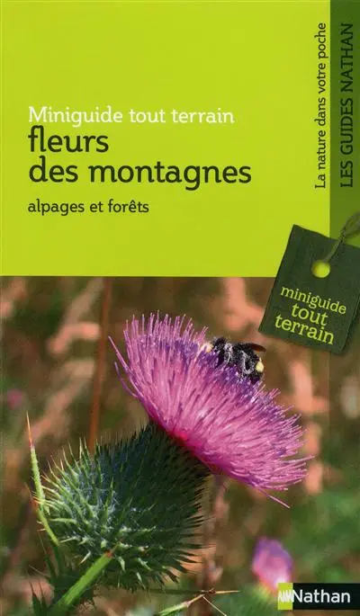 Fleurs des montagnes : alpages et forêts