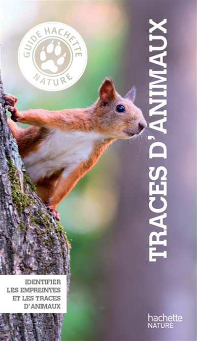 Traces d'animaux :...