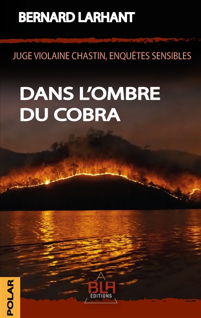 Dans l'ombre du Cobra 3