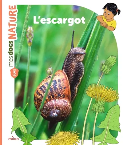 L'escargot L'escargot