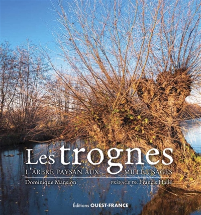 Les trognes : l'arbre paysan aux mille usages