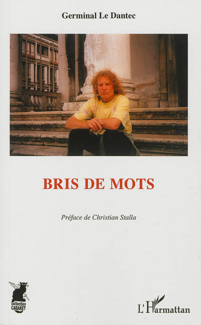 Bris de mots