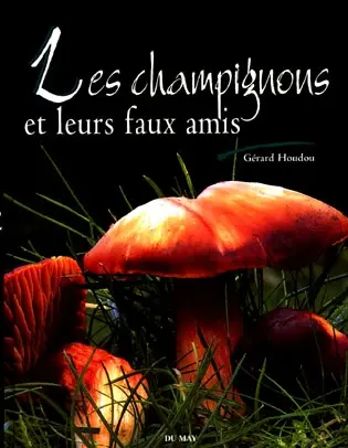 Les champignons et leurs faux amis