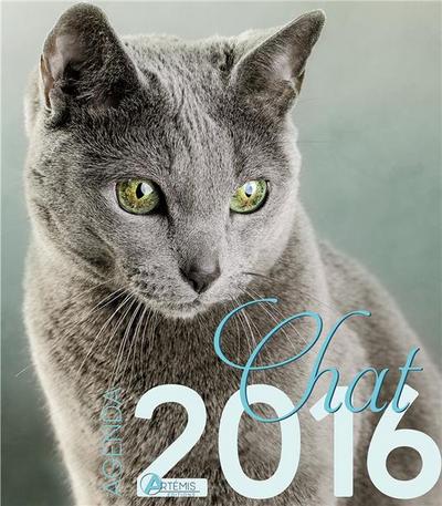Chat : agenda 2016