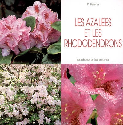 Les azalées et les rhododendrons : les choisir et les soigner