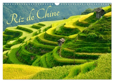 Riz de Chine (Calendrier mural 2025 DIN A3 vertical), CALVENDO calendrier mensuel : La Chine est le plus important producteur et consommateur de riz dans le monde