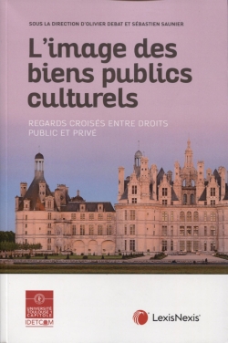 L'image des biens publics culturels : regards croisés entre droits public et privé