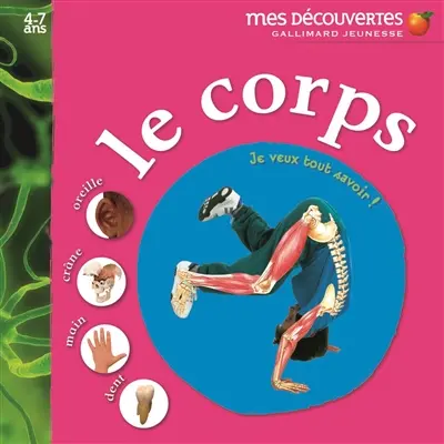 Le corps : oreille, crâne, main, dent