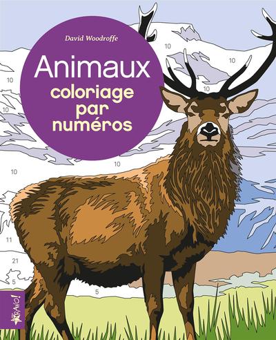 Coloriage par numéros : Animaux