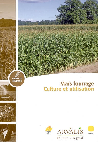 Maïs fourrage : culture et utilisation
