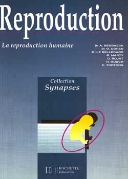 Reproduction : la reproduction humaine