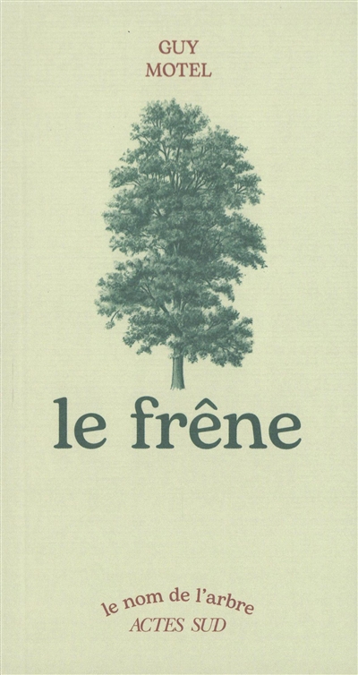 Le frêne