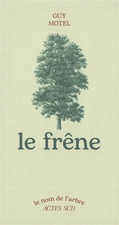 Le frêne