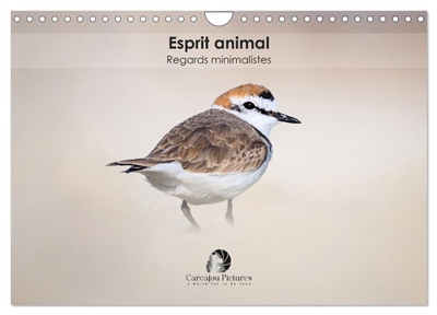 Esprit animal : Regards minimalistes (Calendrier mural 2026 DIN A4 vertical), CALVENDO calendrier mensuel : Un calendrier raffiné qui capture, mois après mois, la force et l’émotion des animaux à travers des portraits minimalistes et épurés.