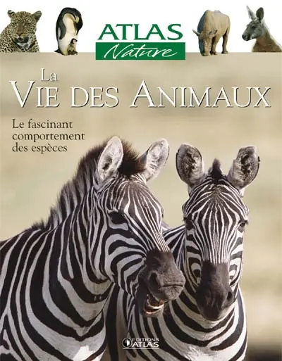 La vie des animaux : le fascinant comportement des espèces