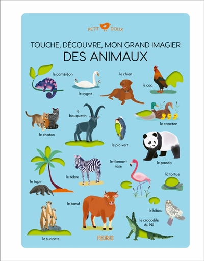 Touche, découvre, mon grand...