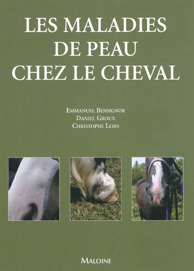 Les maladies de peau chez le cheval