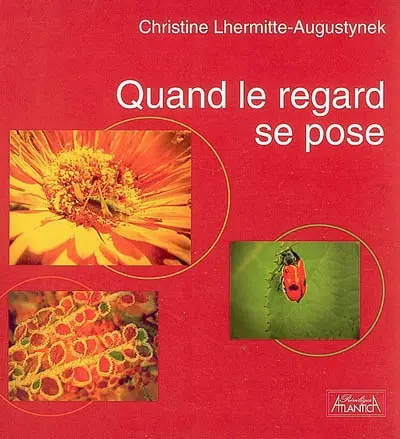 Quand le regard se pose