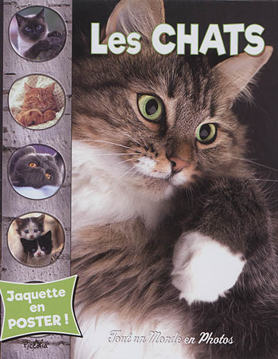 Les chats