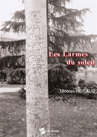 Les larmes du soleil