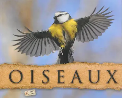 Oiseaux