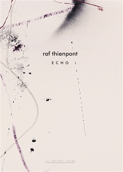 Raf Thienpont : écho