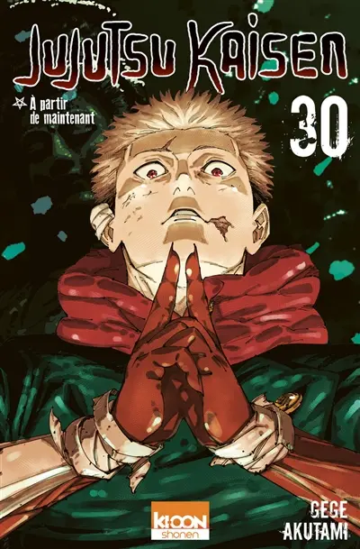 Jujutsu kaisen. Vol. 30