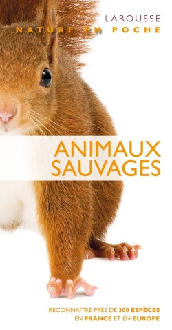 Animaux sauvages : reconnaître près de 300 espèces en France et en Europe