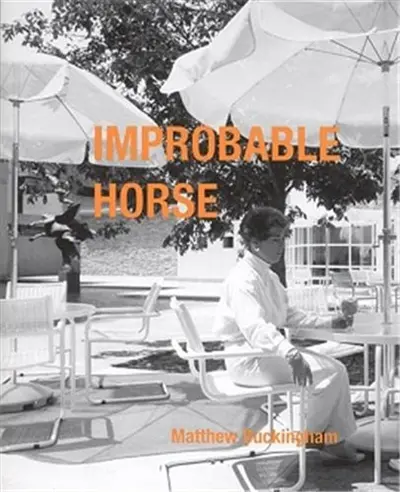 Matthew Buckingham : Improbable Horse