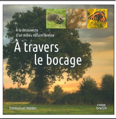 a travers le bocage : à la découverte d'un milieu naturel breton