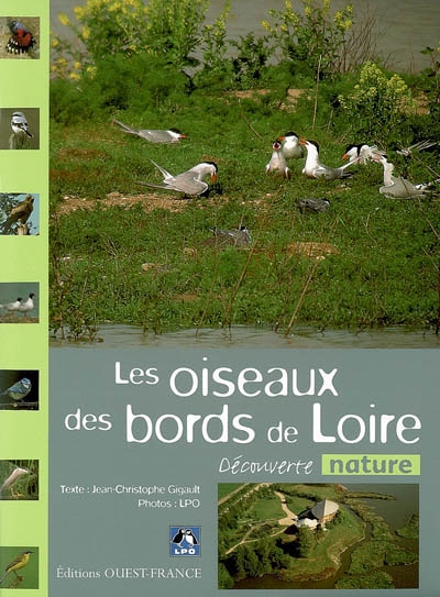 Les oiseaux des bords de Loire