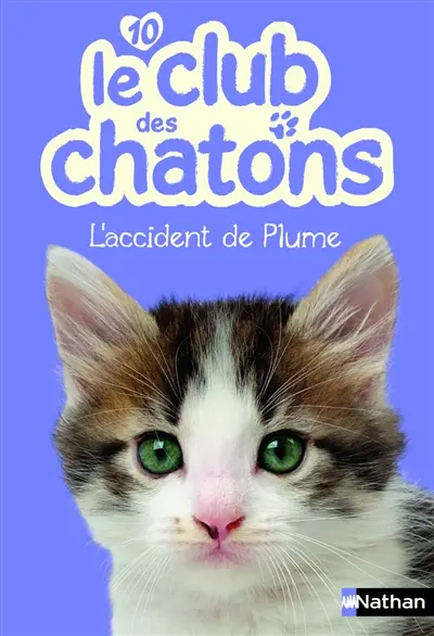 Le club des chatons. Vol. 10. L'accident de Plume
