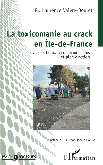 La toxicomanie au crack en Ile-de-France : état des lieux, recommandations et plan d'action