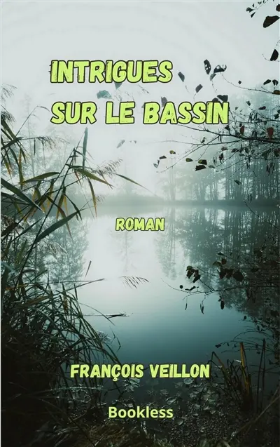 Intrigues sur le bassin