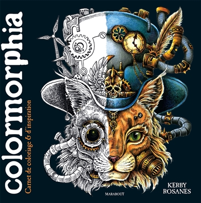 Colormorphia : carnet de coloriage & d'inspiration