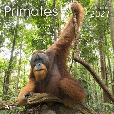 Primates : calendrier 2027