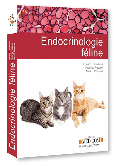 endocrinologie féline