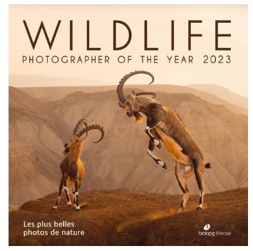 Wildlife photographer of the year 2023 : les plus belles photos de nature