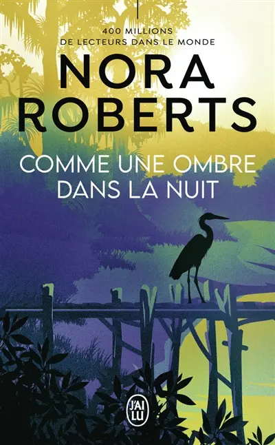 Comme une ombre dans la nuit