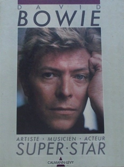 David Bowie : artiste, musicien, acteur, super star