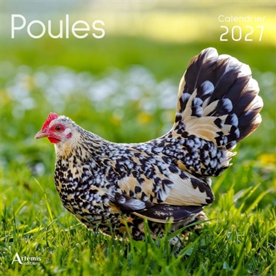 Poules : calendrier 2027