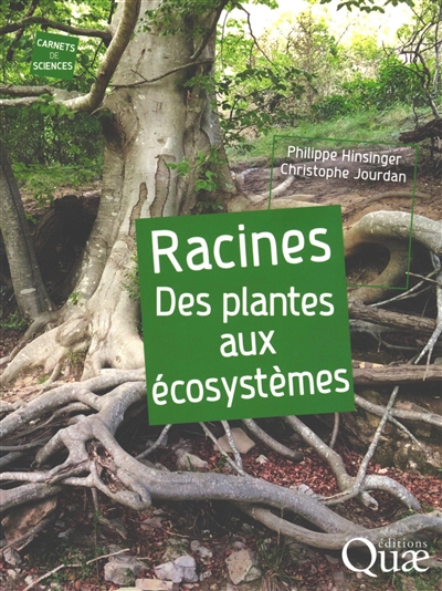 Racines : des plantes aux écosystèmes