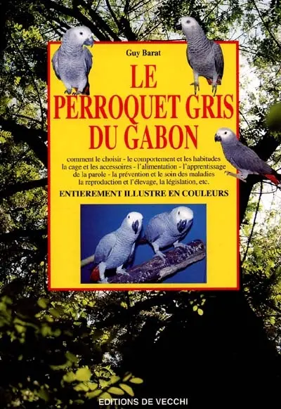 Le perroquet gris du Gabon