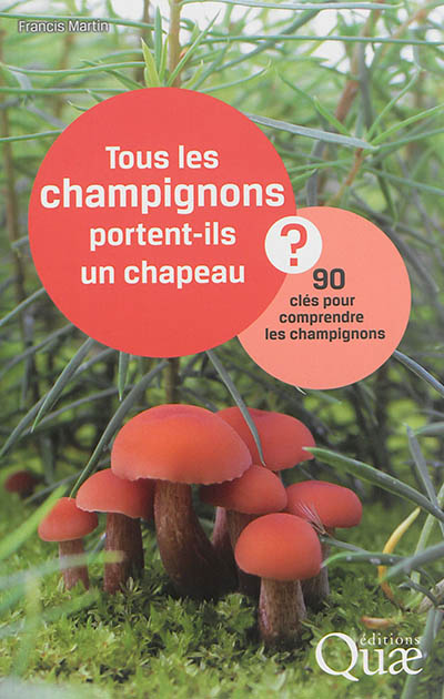 Tous les champignons portent-ils un chapeau ? : 90 clés pour comprendre les champignons